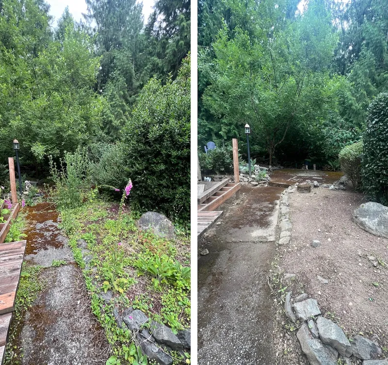 Before and after of a wooded garden path: overgrown weeds and moss cleared back to a clean gravel walkway with stone edging