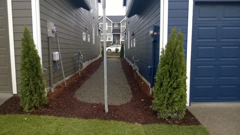 Gravel side-yard path bordered by fresh plantings and clean edging